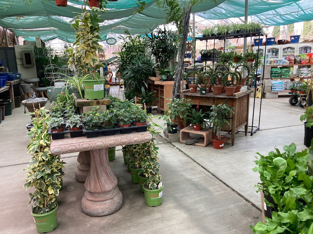 Fair Oaks Boulevard Nursery | 4681 Fair Oaks Blvd, Sacramento, CA 95864, USA | Phone: (916) 483-1830