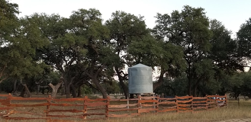 Cow Creek Taxidermy and Game Processing | 113 Ernst Rd, Boerne, TX 78006, USA | Phone: (830) 537-4450