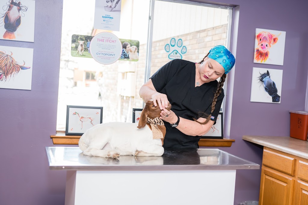 Pipe Creek Animal Clinic | 11113 TX-16, Pipe Creek, TX 78063, USA | Phone: (830) 535-4406