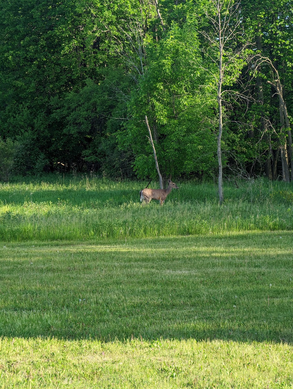 Archery Range | Municipal Dr, West Bend, WI 53095, USA | Phone: (262) 335-5080