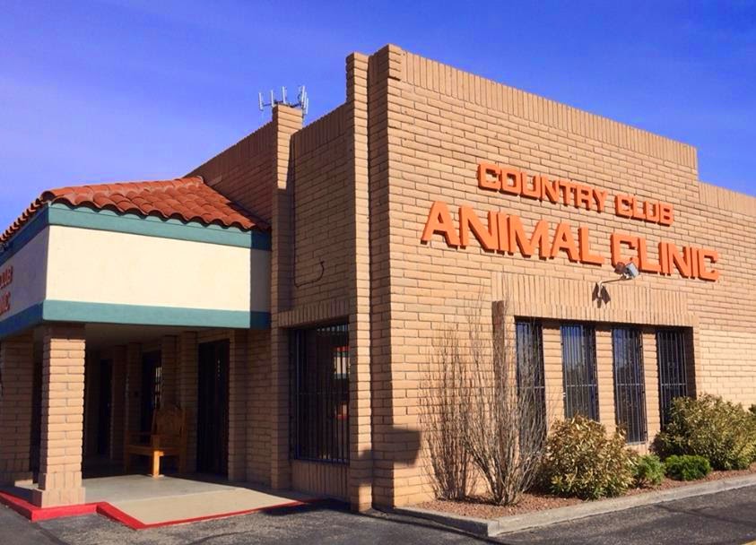 Country Club Animal Clinic | 5470 Doniphan Dr # A2, El Paso, TX 79932, USA | Phone: (915) 833-0645