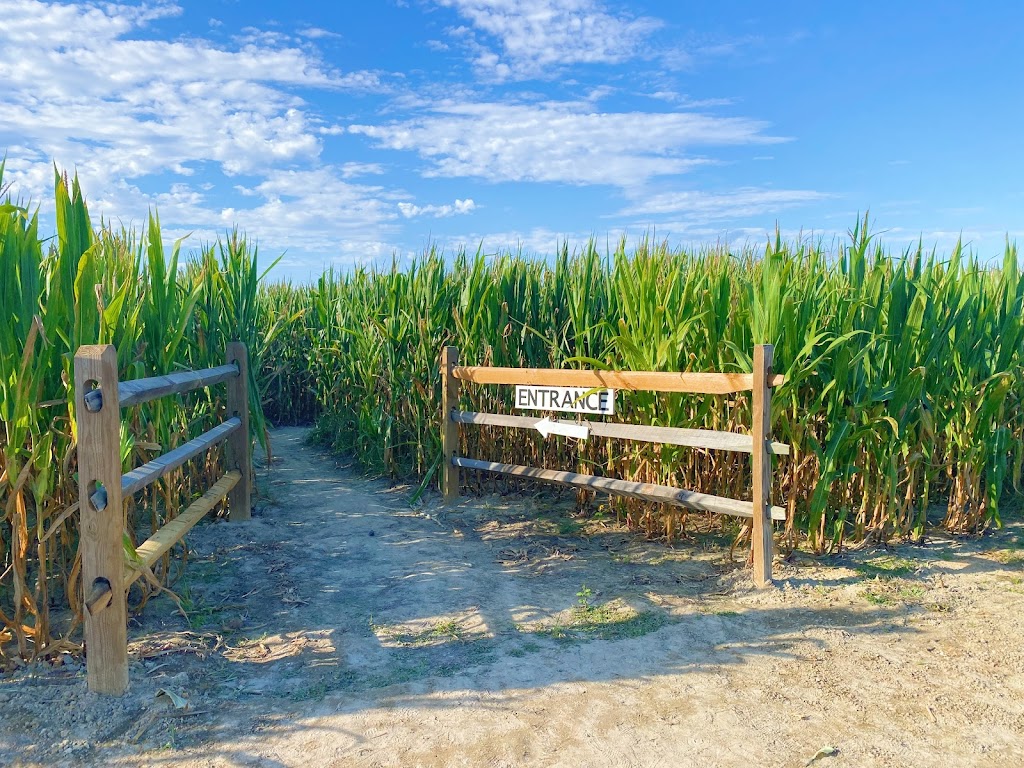 Goose Hill Farm | 22090 Bethel Rd, Franklin, VA 23851, USA | Phone: (757) 569-8453