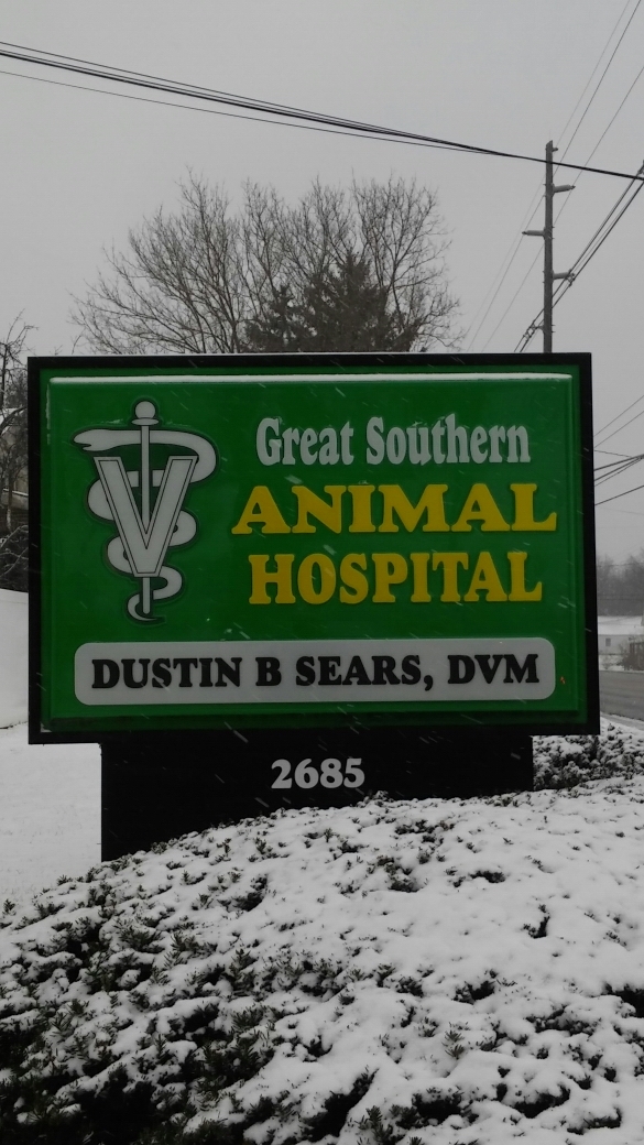 Great Southern Animal Hospital | 2685 S High St, Columbus, OH 43207, USA | Phone: (614) 491-5632