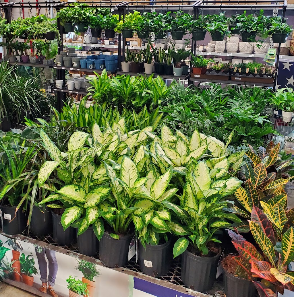 Lowes Garden Center | 8224 Golden Link Blvd, Northfield, OH 44067, USA | Phone: (330) 908-2750