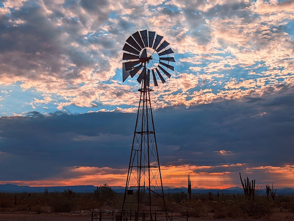 White Tank Mountain Regional Park | Arizona, USA | Phone: (602) 506-2930