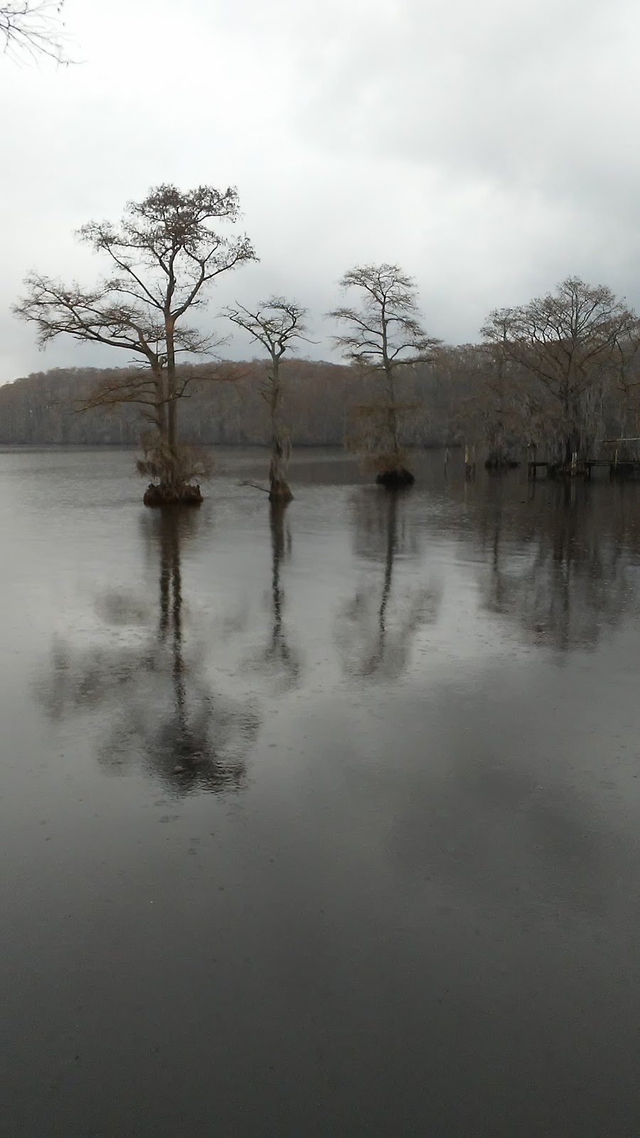 J. Robert Hendrix Park | 315 Cannons Ferry Rd, Tyner, NC 27980, USA | Phone: (252) 482-8595