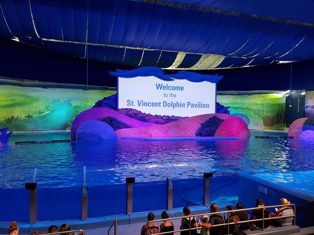 St. Vincent Dolphin Pavilion | 1200 W Washington St, Indianapolis, IN 46222, USA | Phone: (317) 630-2001