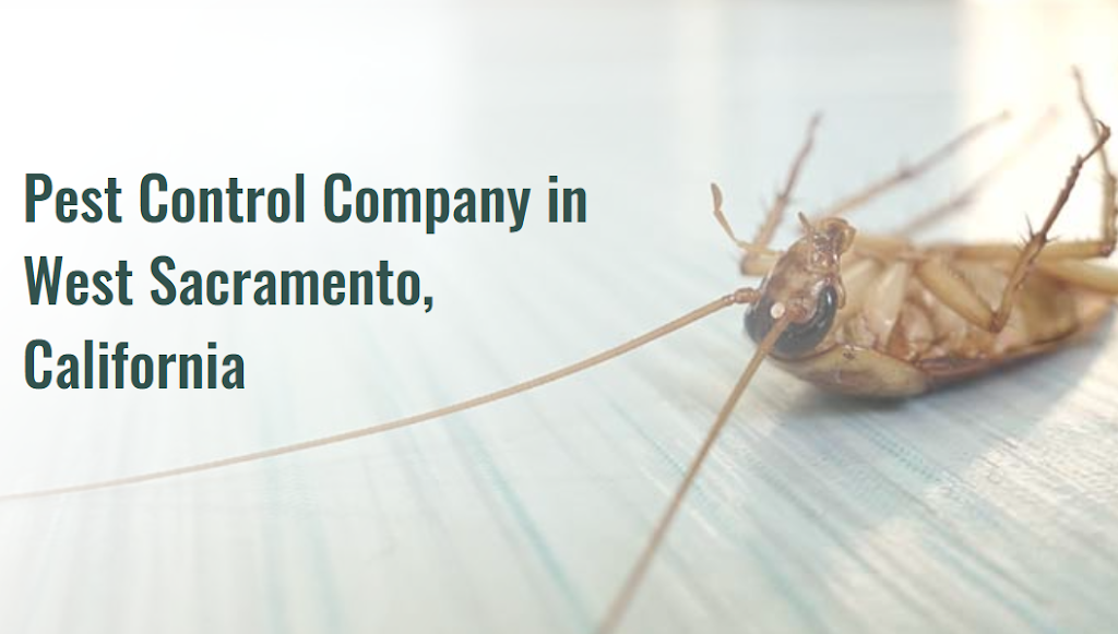 Pegasus Pest Control | 1500 S River Rd, West Sacramento, CA 95691, USA | Phone: (916) 682-4746