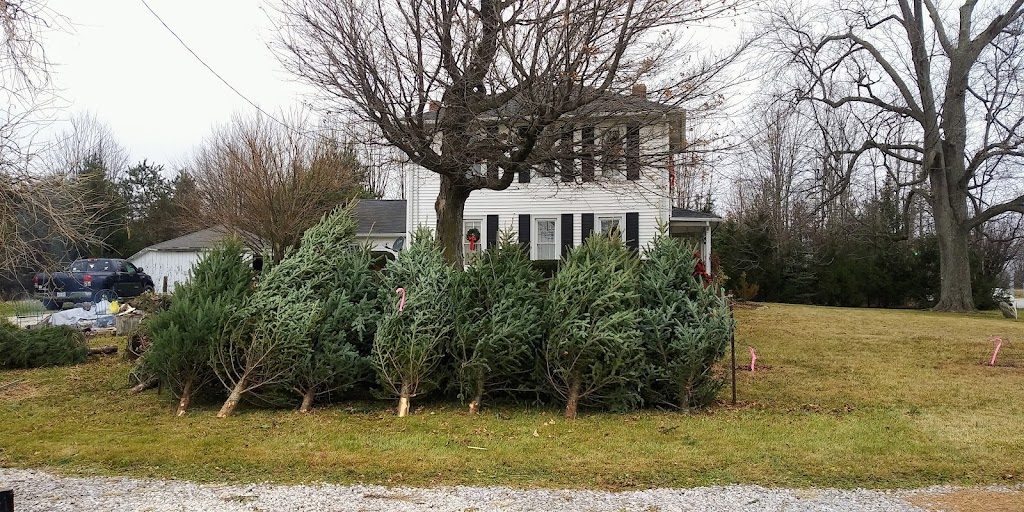 Uncle Wallys Tree Farm | 6420 Wooster Pike, Medina, OH 44256, USA | Phone: (330) 573-4009