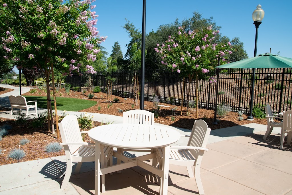 TreVista Senior Living | 3950 Lone Tree Wy, Antioch, CA 94509, USA | Phone: (925) 470-3395