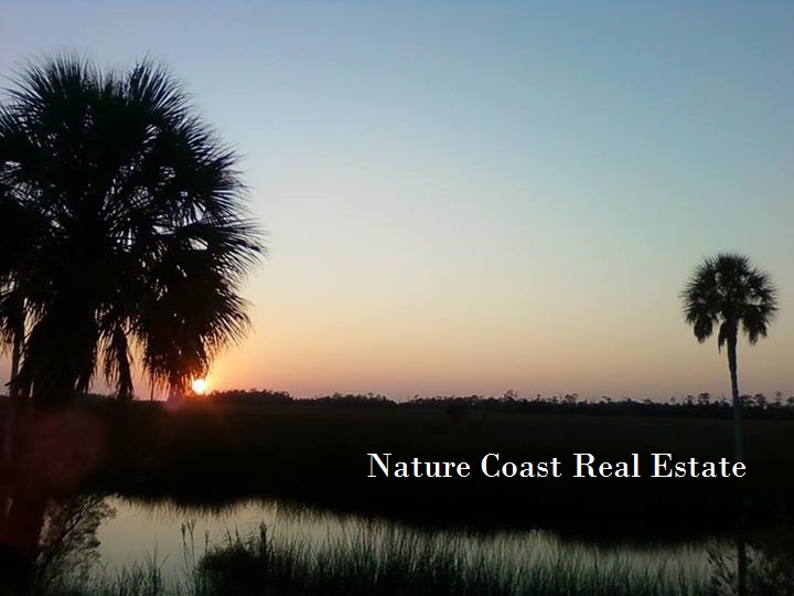 Nature Coast Real Estate | 7215 Forest Oaks Blvd, Spring Hill, FL 34606, USA | Phone: (352) 688-7778