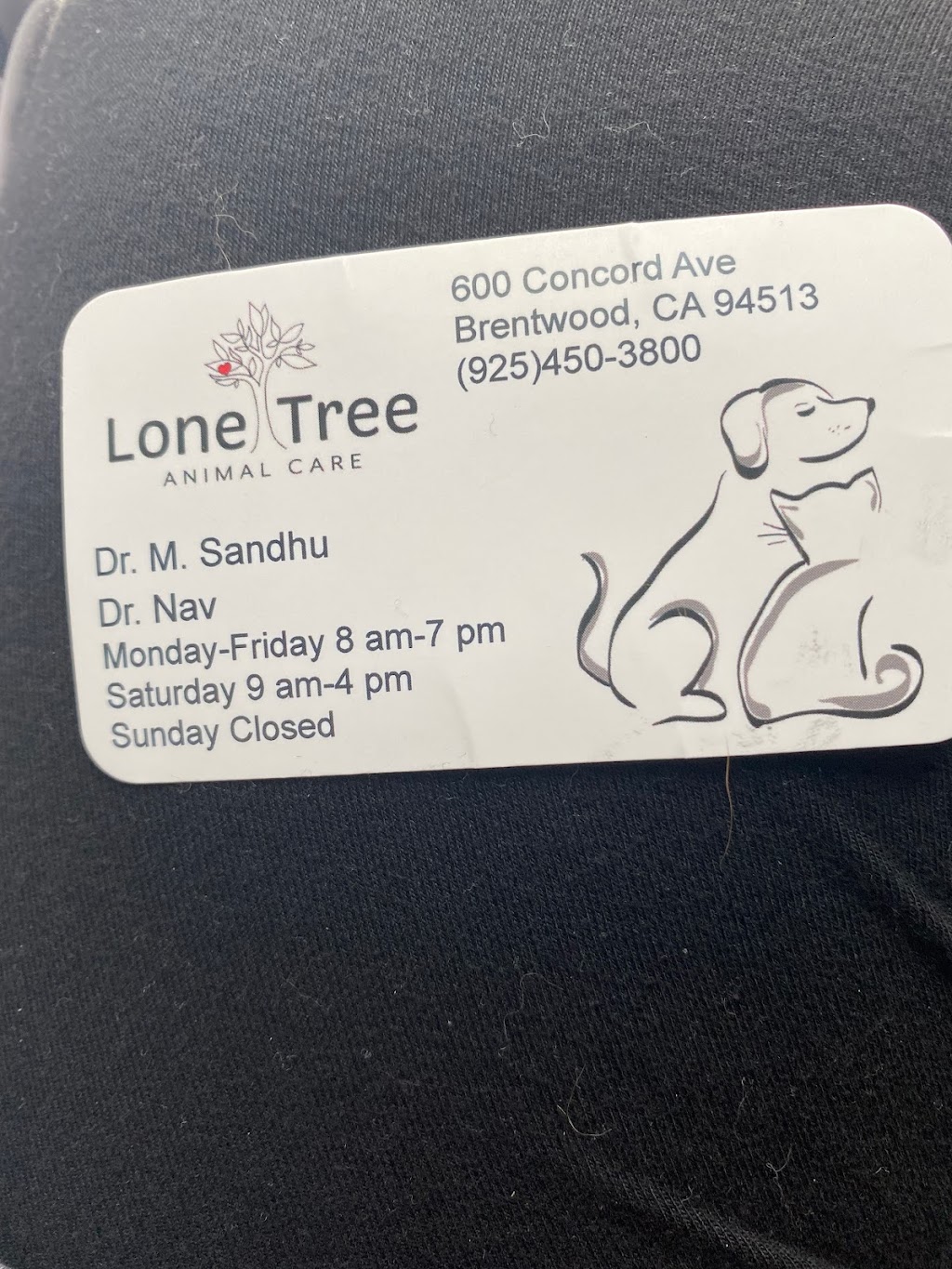 Lone Tree Animal Care | 600 Concord Ave, Brentwood, CA 94513, USA | Phone: (925) 450-3800