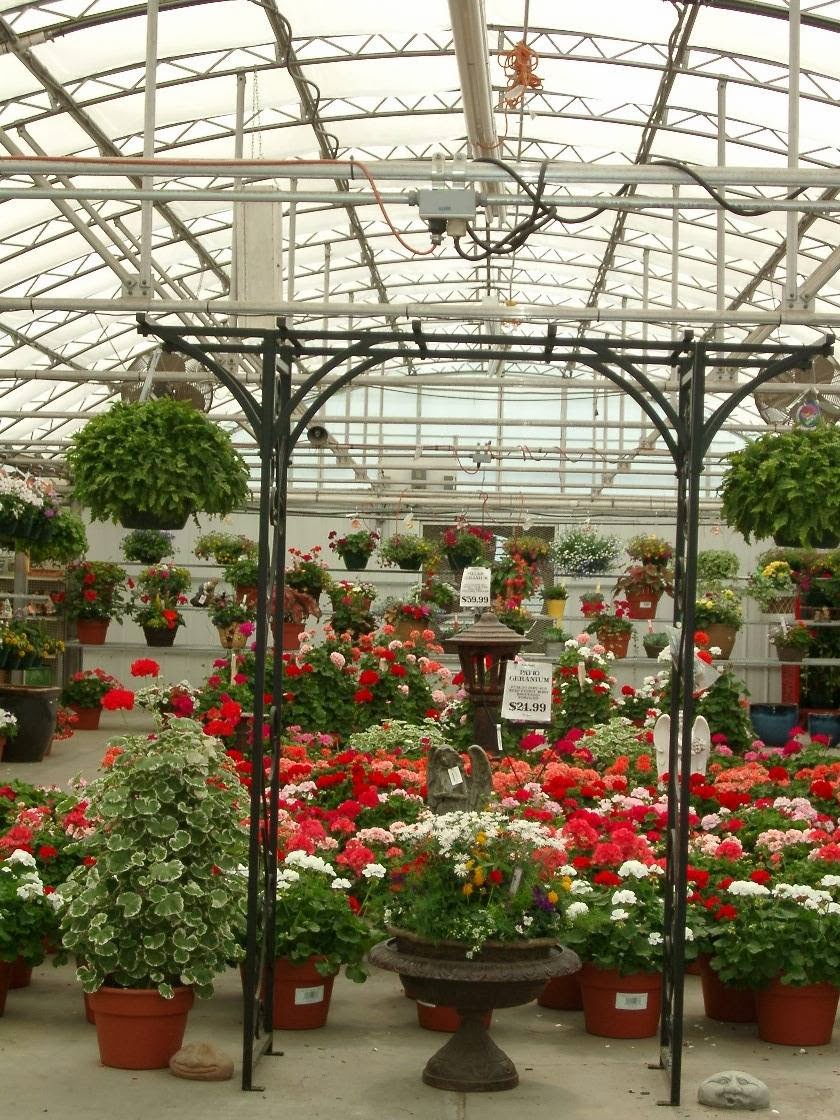 Malmborgs Garden Center | 20045 County Rd 81, Rogers, MN 55311 | Phone: (763) 428-2061