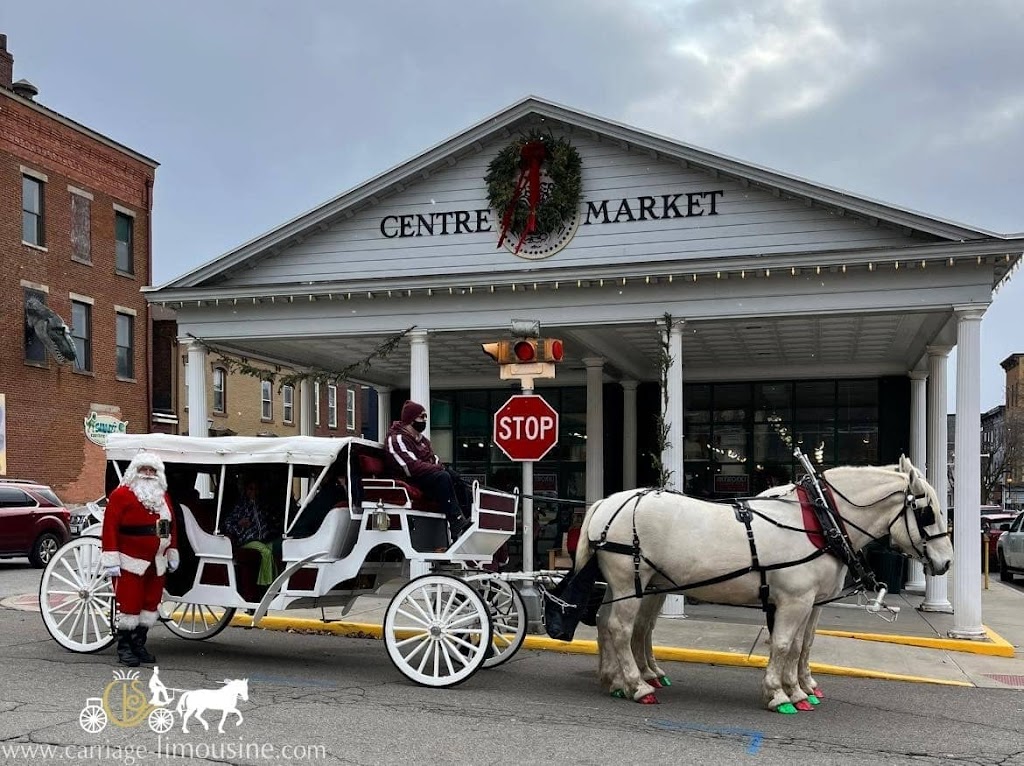Carriage Limousine Service - Horse Drawn Carriages | 1436 John Campbell Rd, Wellsville, OH 43968, USA | Phone: (330) 532-3866