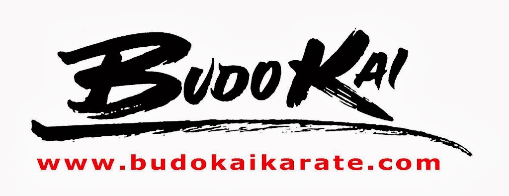 Budo Kai Karate | 812 Kinderkamack Rd, River Edge, NJ 07661, USA | Phone: (201) 265-8109