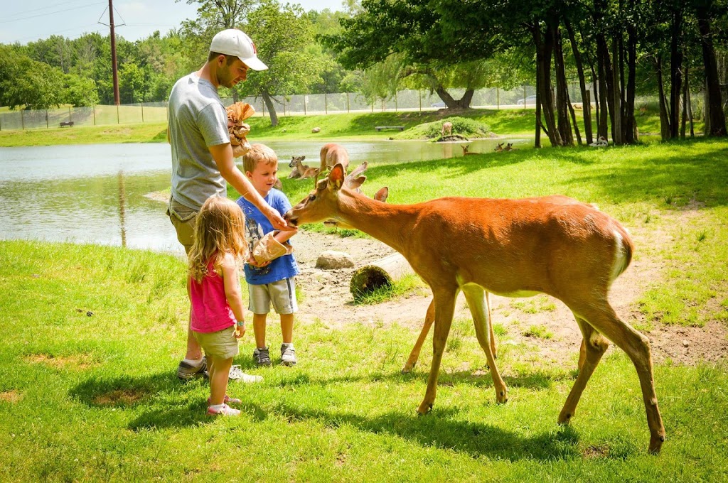 FAWN-DOE-ROSA Wildlife Educational Park | 2131 US-8, St Croix Falls, WI 54024, USA | Phone: (715) 483-3772