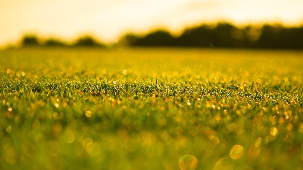 Taylor Meadows Golf Club | 25360 Ecorse Rd, Taylor, MI 48180, USA | Phone: (734) 287-2100