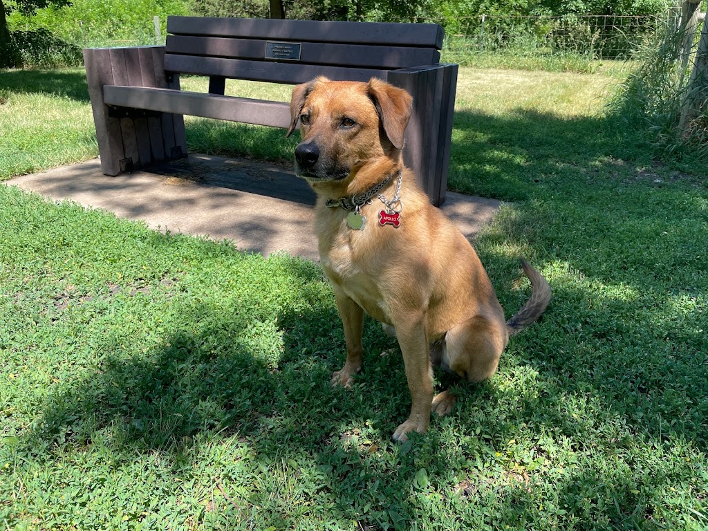 Lake Sarah Dog Park | 6670 W Lake Sarah Dr, Rockford, MN 55373, USA | Phone: (763) 694-7860