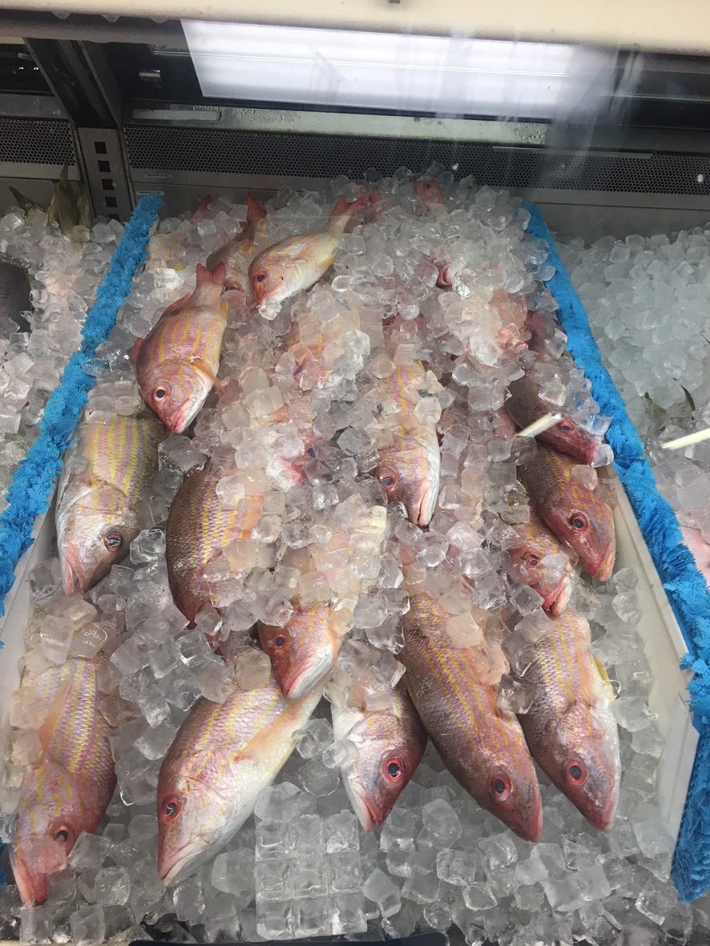 Baisheng Seafood Market & Deli | 4589 N University Dr, Lauderhill, FL 33351, USA | Phone: (954) 686-8988