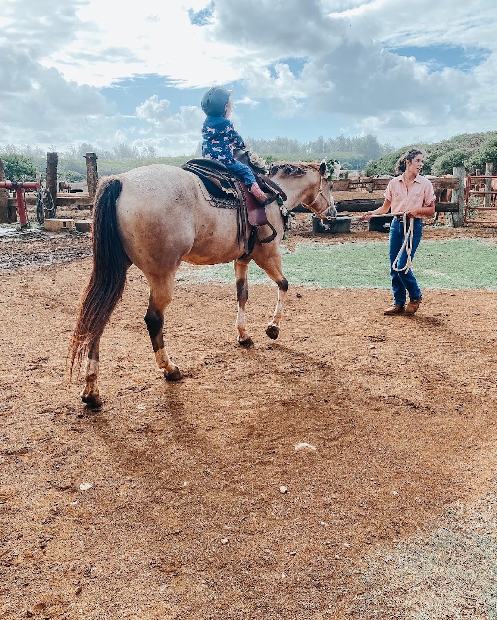 Gunstock Ranch | 56-250 Kamehameha Hwy, Kahuku, HI 96731, USA | Phone: (808) 341-3995