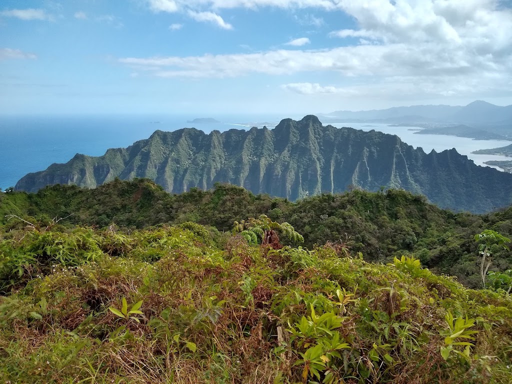 Puu Manamana Hike | Koolauloa, Kaneohe, HI 96744, USA | Phone: (651) 334-0507