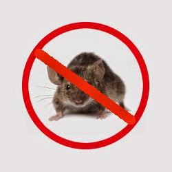 Chagrin Valley Pest Control | 114 Brady St, Kent, OH 44240, USA | Phone: (216) 348-3379