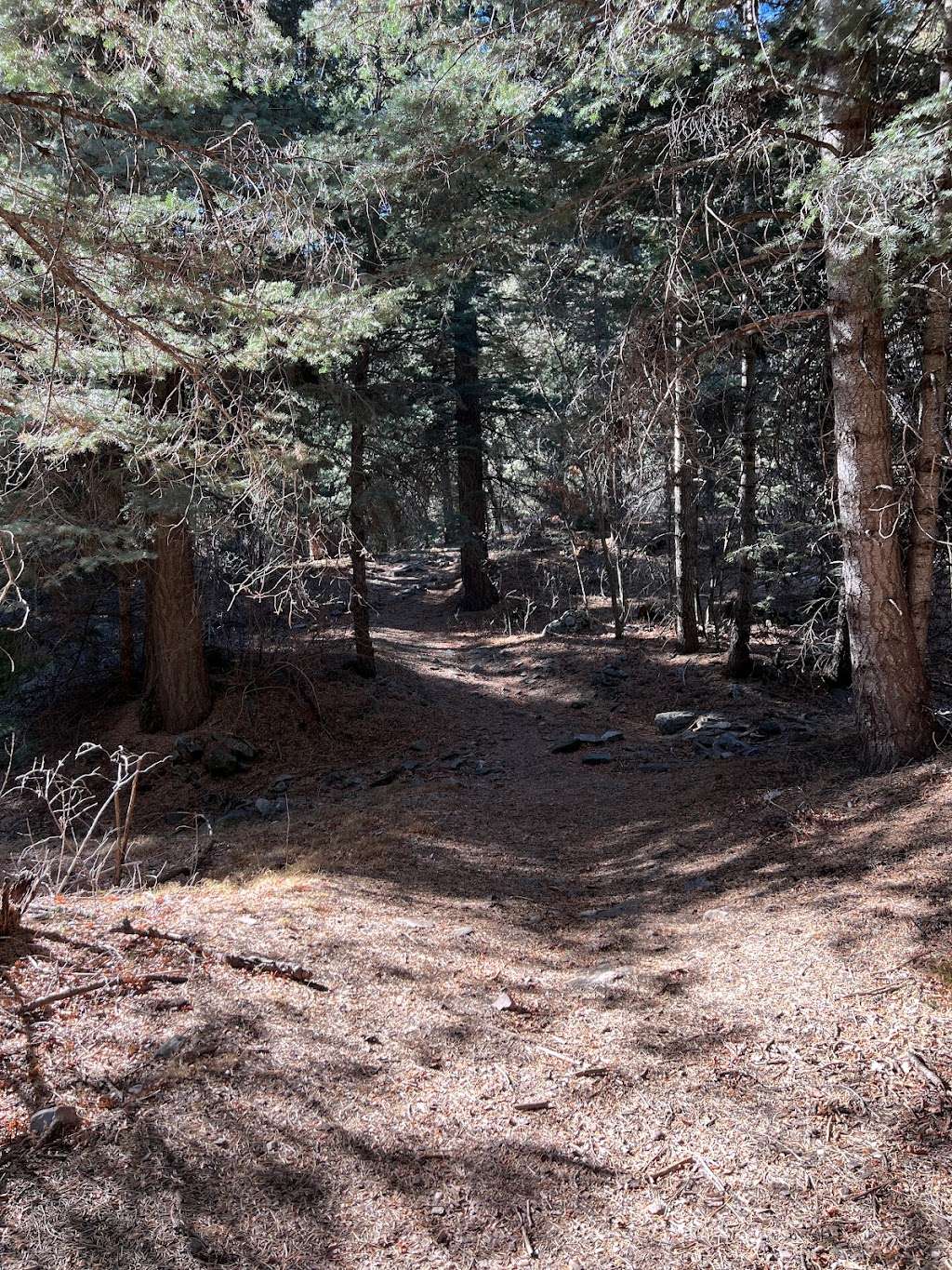 Red Canyon/spruce Spring Trailhead | Forest Rd 422, Bosque, NM 87006, USA | Phone: (505) 346-3900