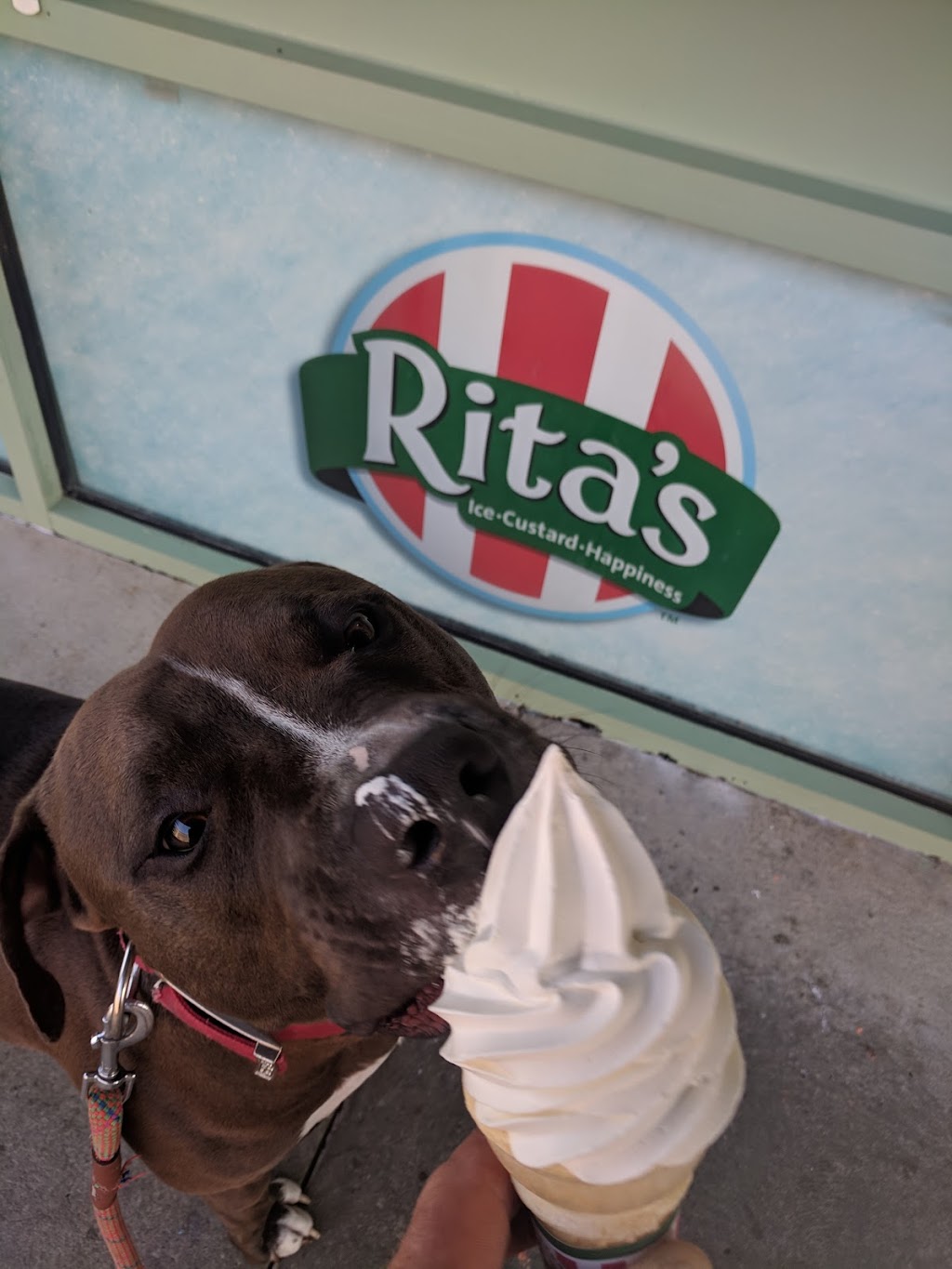 Ritas Italian Ice & Frozen Custard | 2024 County Line Rd, Huntingdon Valley, PA 19006, USA | Phone: (215) 953-1998