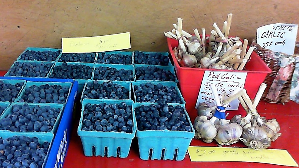 Butlers Farm | 3414 137th St NW, Gig Harbor, WA 98332, USA | Phone: (253) 241-9594