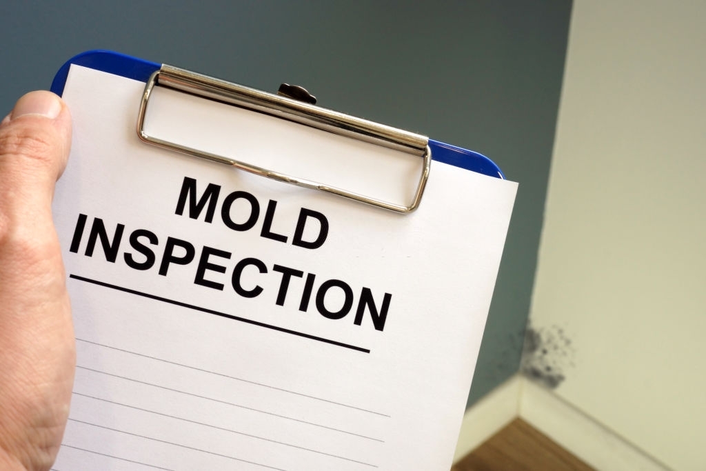 Maven Mold Removal & Remediation Lewisville TX | 2440 S Stemmons Fwy, Lewisville, TX 75067, USA | Phone: (469) 946-7840