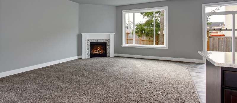 Carpet Elegance | 35322 Private #035, Kiowa, CO 80117, USA | Phone: (303) 840-8713