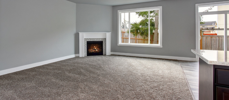 Carpet Elegance | 35322 Private #035, Kiowa, CO 80117 | Phone: (303) 840-8713