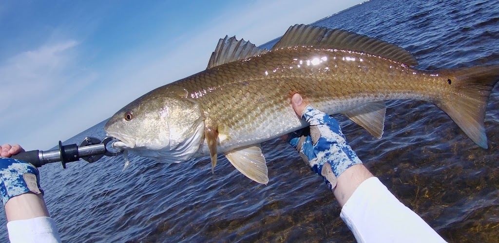 Bull Bay Tackle Company | 611 School House Rd, Lakeland, FL 33813, USA | Phone: (863) 937-3292