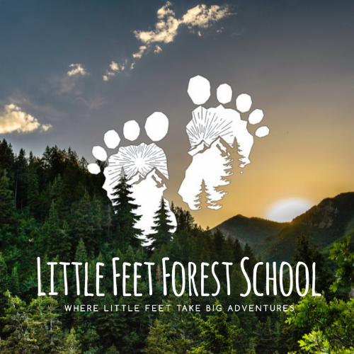 Little Feet Forest School | 7179 Ponderosa Ct, Evergreen, CO 80439, USA | Phone: (303) 358-8200