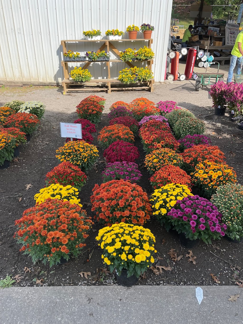 Iannettis Garden Center | 728 Steubenville Pike, Burgettstown, PA 15021, USA | Phone: (724) 729-3500