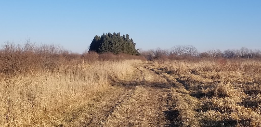 Badfish Creek State Wildlife Area | Old Stone Rd, Madison, WI 53711, USA | Phone: (888) 936-7463