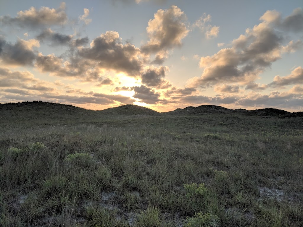 Padre Island National Seashore | Texas, USA | Phone: (361) 949-8068