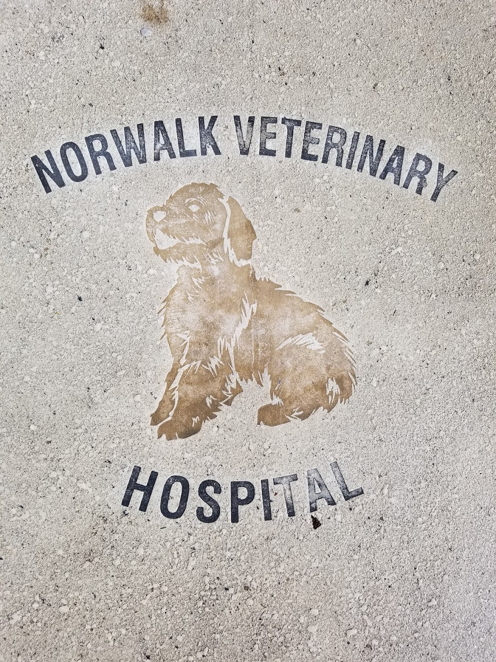Norwalk Veterinary Hospital and The Boarding House | 726 Connecticut Ave, Norwalk, CT 06854, USA | Phone: (203) 838-8421