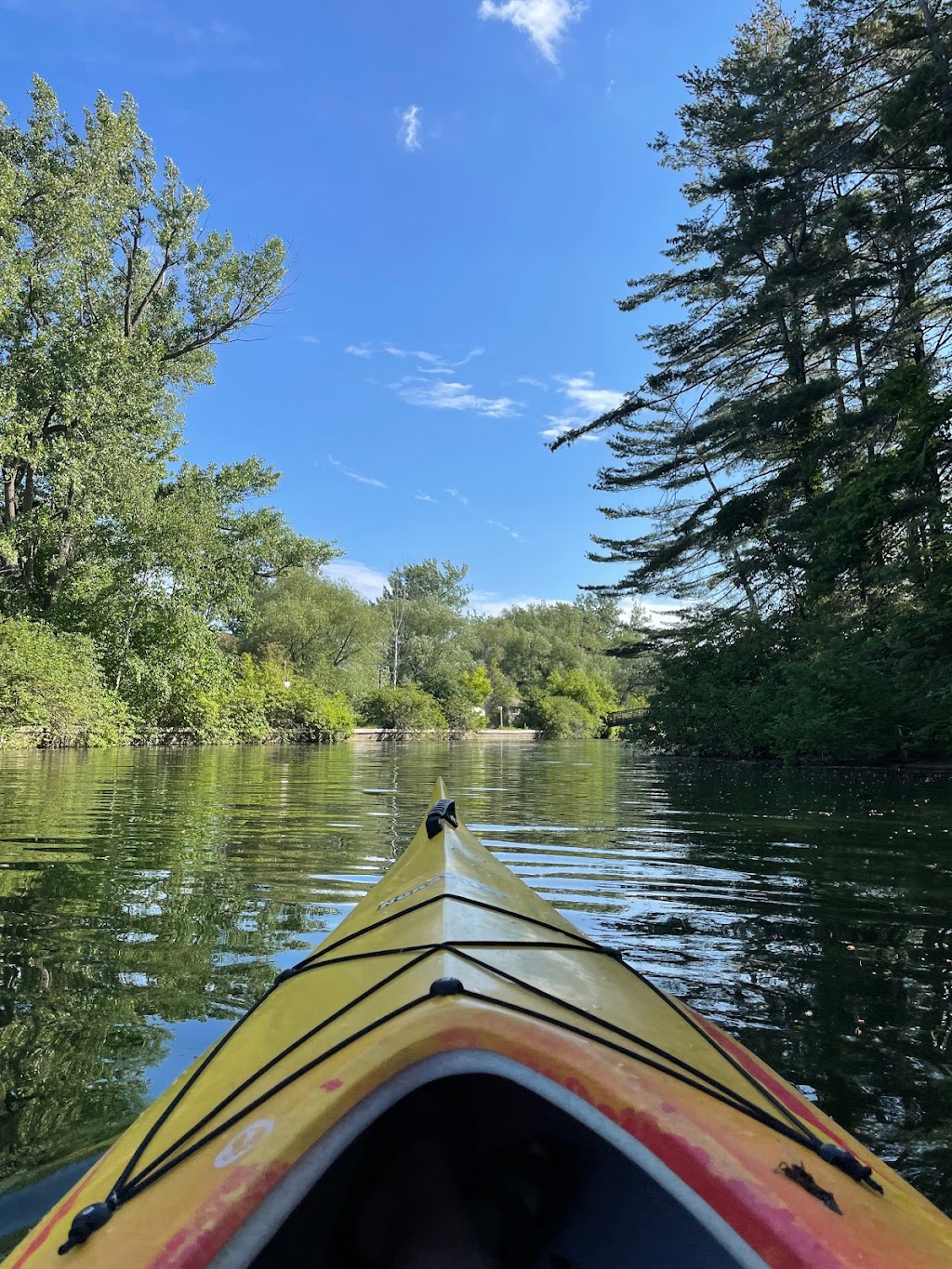 Toronto Island SUP | 13 Algonquin Bridge Rd, Toronto, ON M5J 2C8, Canada | Phone: (416) 899-1668