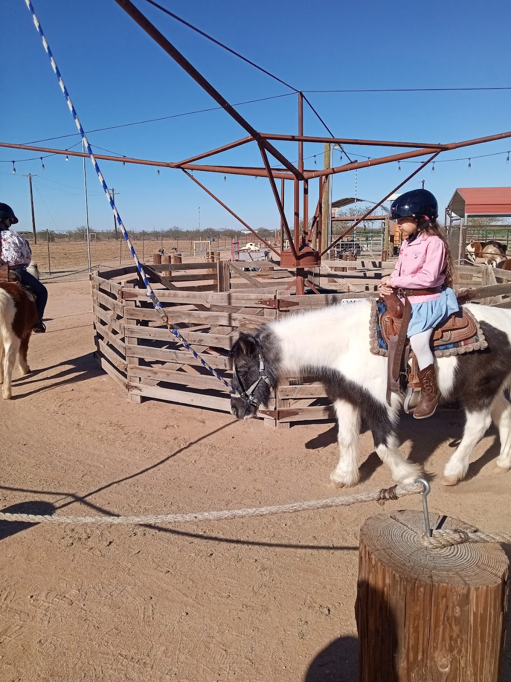 The Pony Ranch | 18536 W Houser Rd, Casa Grande, AZ 85193, USA | Phone: (480) 236-4500