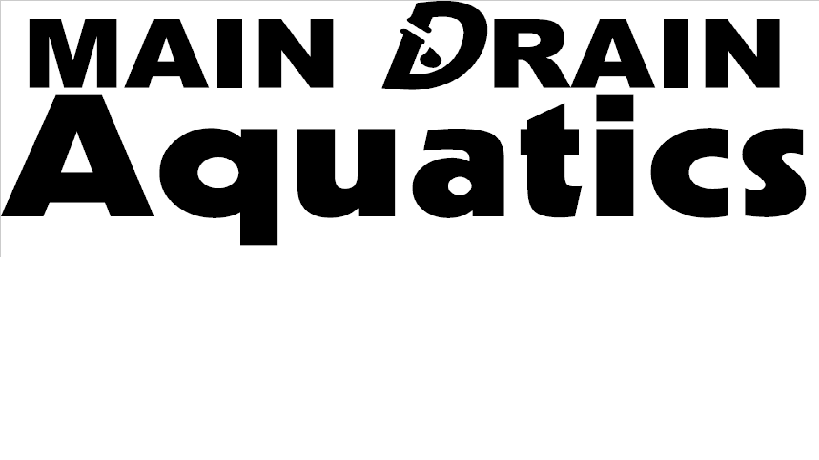 Main Drain Aquatics | 6435 Summer Ave, Memphis, TN 38134, USA | Phone: (901) 249-5178