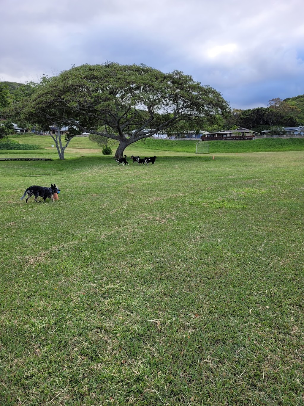 Kaelepulu Elementary School | 530 Keolu Dr, Kailua, HI 96734, USA | Phone: (808) 266-7811