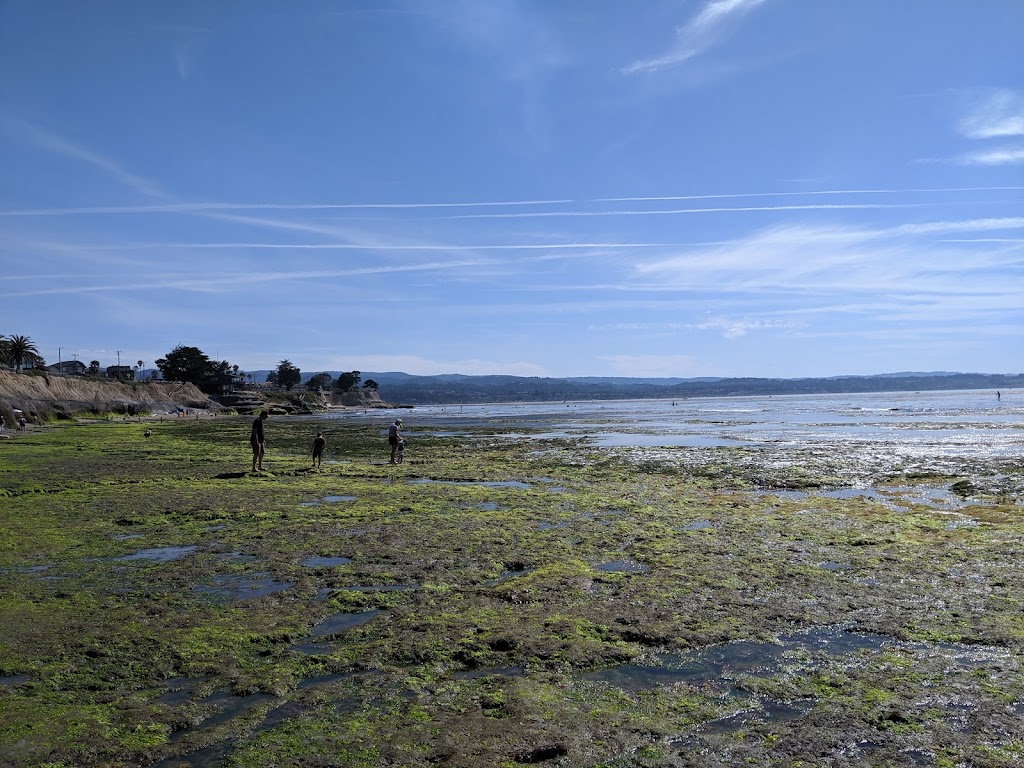 Pleasure Point County Park | E Cliff Dr, Santa Cruz, CA 95062, USA | Phone: (831) 454-7901