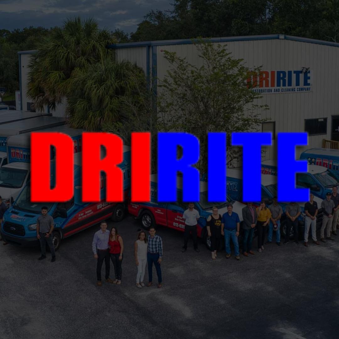 DriRite - Disaster Restoration | 11841 US Hwy 41, Gibsonton, FL 33534, United States | Phone: (813) 518-6767