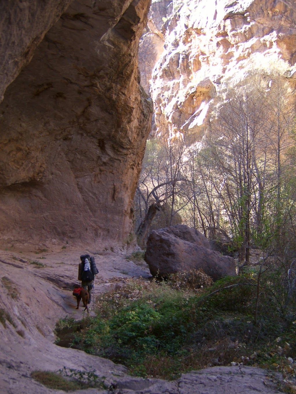 Redfield Canyon Wilderness | Willcox, AZ 85643 | Phone: (928) 348-4400