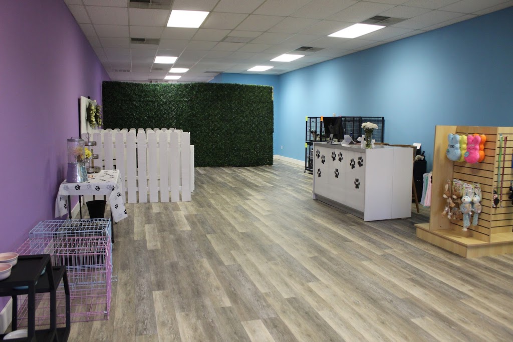 The Pup Palace | 2906 US-22, Maineville, OH 45039, USA | Phone: (513) 239-7434