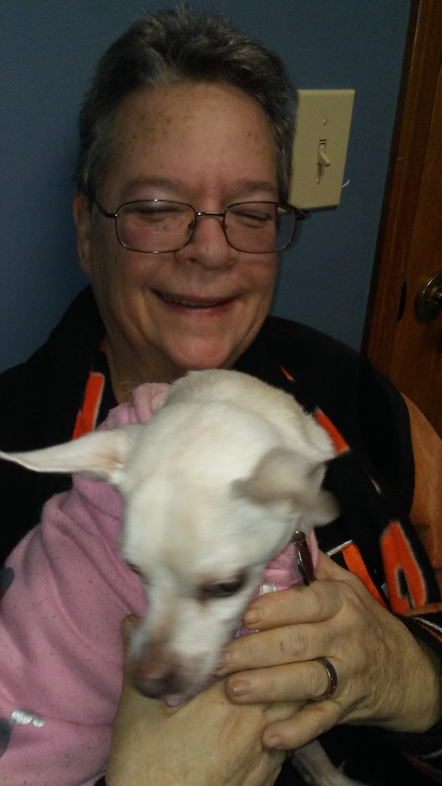 West Jefferson Animal Hospital | 121 E Main St, West Jefferson, OH 43162, USA | Phone: (614) 879-8250