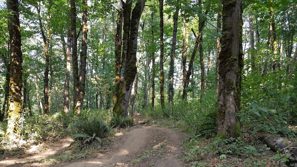 Jenne Butte Park | 2358 SW Border Way, Gresham, OR 97080, USA | Phone: (503) 618-2300