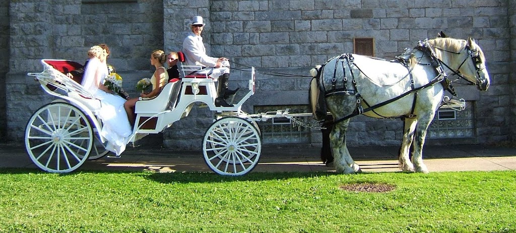 Andrusz Carriage Service | 12067 Nice Rd, Akron, NY 14001 | Phone: (716) 542-5767