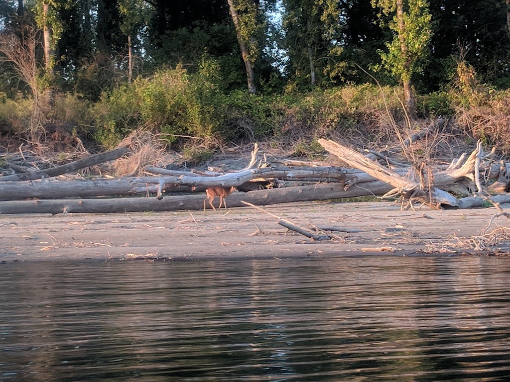 Reed Island State Park | Washougal, WA 98671, USA | Phone: (360) 902-8844